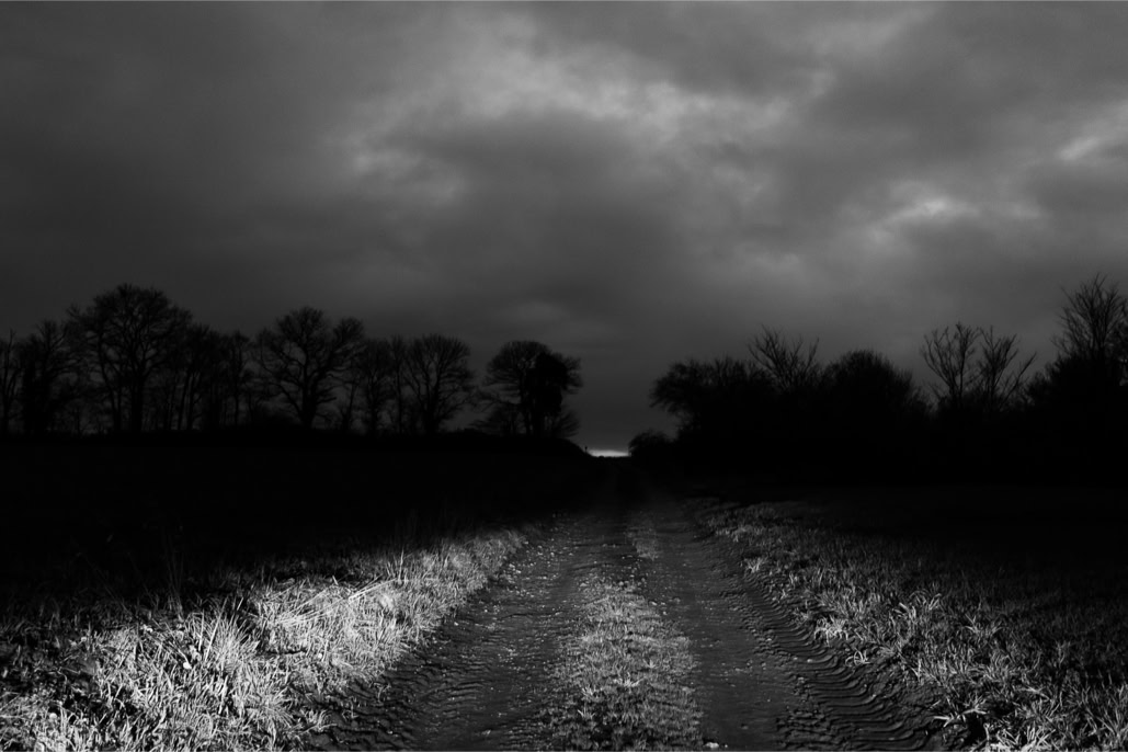 arbre, black and white, bretagne, brittany, bw, chemin, crépuscule, diaoul, monochrom, monochrome, noir et blanc, track, tree, twilight