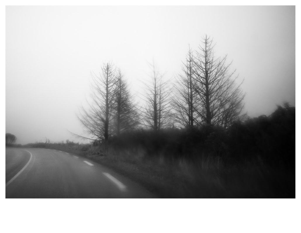 arbre, black and white, bretagne, brittany, bw, monochrom, monochrome, monts d'arrée, noir et blanc, road, route, tree