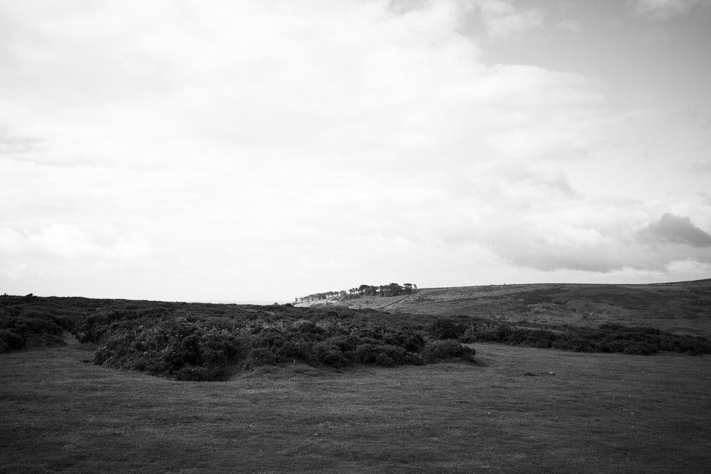 paysage, oretail photography,  olivier retail, arbre, black and white, bw, dartmoor, devon, england, lande, monochrom, monochrome, moor, noir et blanc, tree, UK, united kingdom, landscape