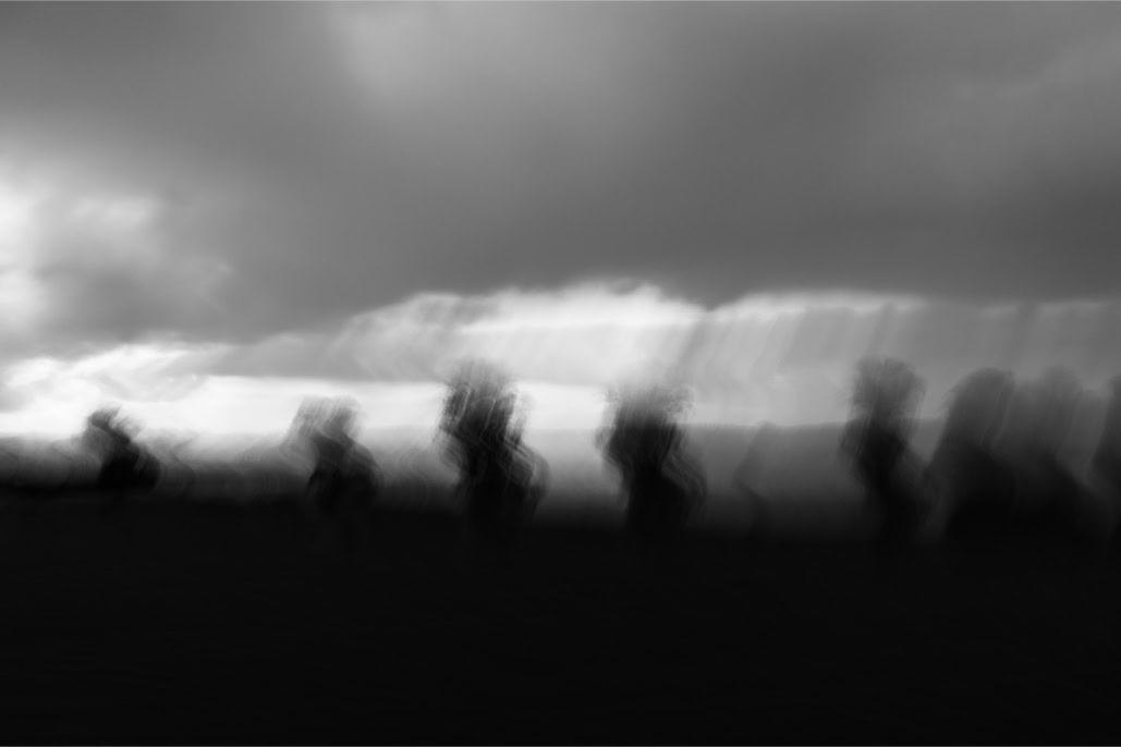 arbre, black and white, blurry, bretagne, brittany, bw, diaoul, flou, monochrom, monochrome, noir et blanc, tree
