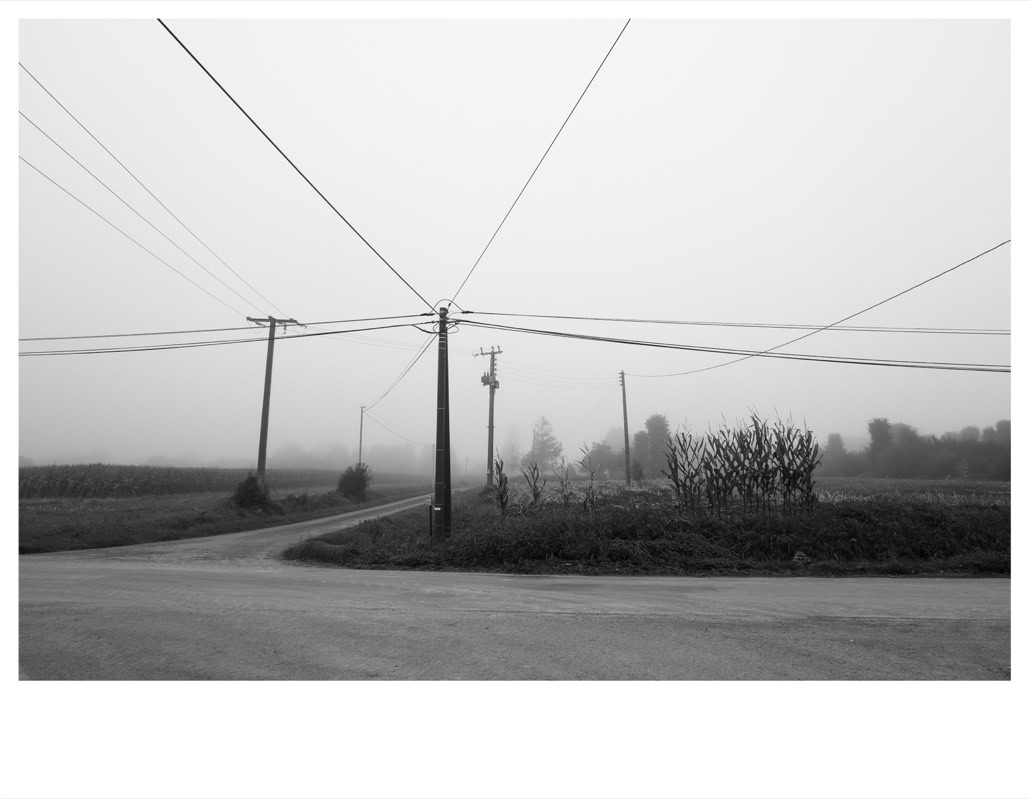 black and white, bretagne, brittany, bw, champ, field, fil électrique, monochrom, monochrome, noir et blanc, pole, poteau, road, route, wire