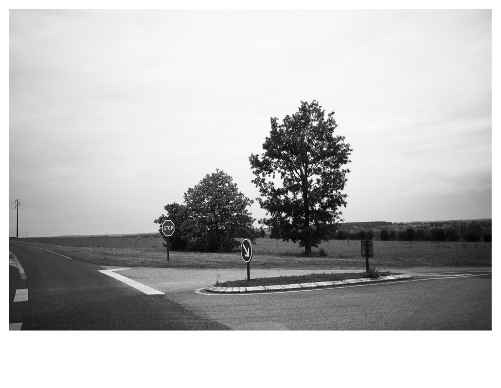 arbre, black and white, bretagne, brittany, bw, carrefour, champ, crossroads, field, monochrom, monochrome, noir et blanc, pole, poteau, road, route, stop, tree