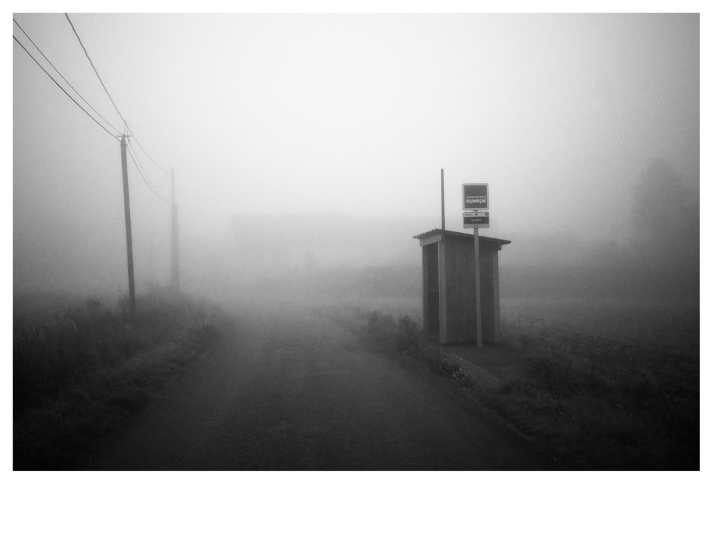 abri bus, black and white, bretagne, brittany, bus shelter, bw, fil électrique, monochrom, monochrome, noir et blanc, pole, poteau, road, route, wire