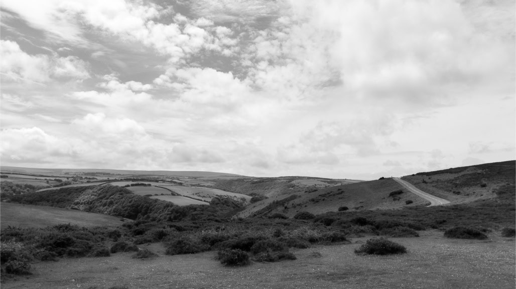 UK, black and white, bw, champ, devon, england, exmoor, field, lande, monochrom, monochrome, moor, noir et blanc, road, route, united kingdom
