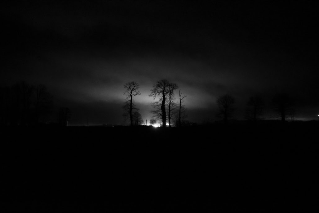 arbre, black and white, bretagne, brittany, bw, diaoul, light, lumière, monochrom, monochrome, noir et blanc, tree