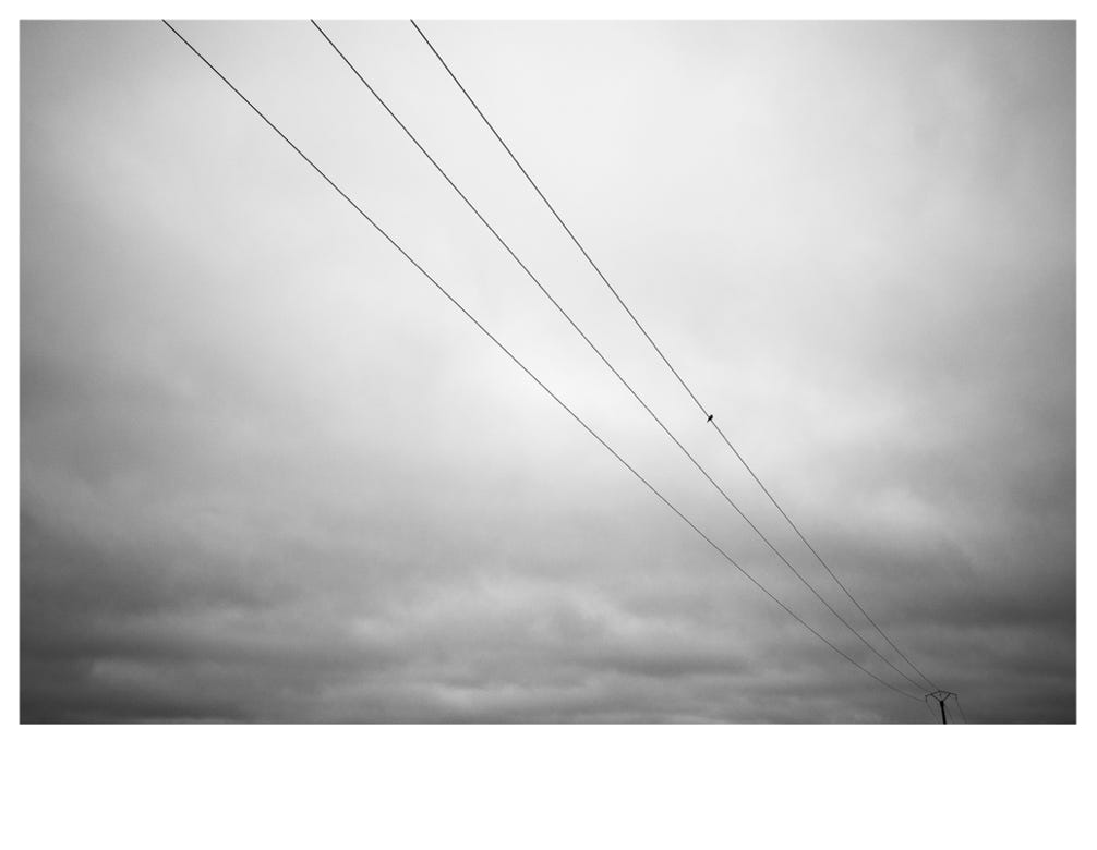 paysage, oretail photography,  olivier retail, noir et blanc, black and white, landscape, monochrom, monochrome, bw, oiseau, bird, poteau, pole, wire, fil électrique