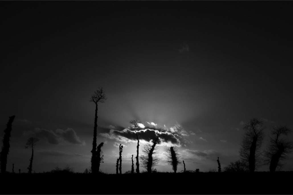 arbre, backlightning, black and white, bretagne, brittany, bw, cloud, contre-jour, crépuscule, diaoul, monochrom, monochrome, noir et blanc, nuage, tree, twilight
