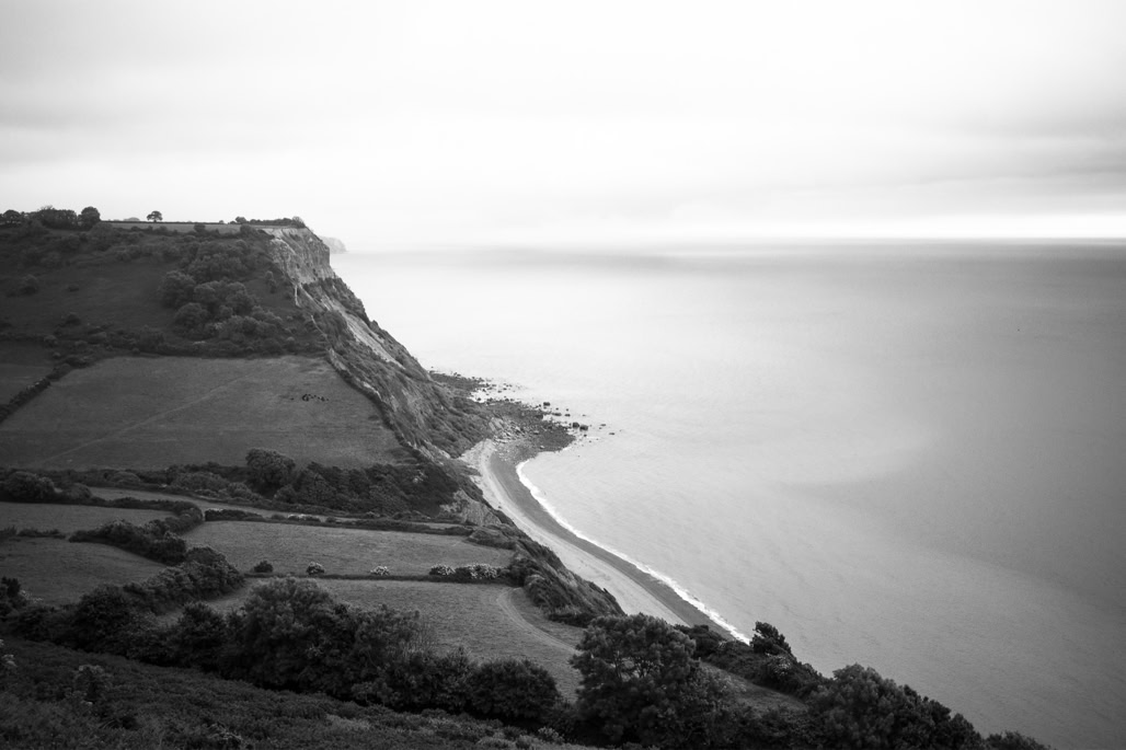 UK, black and white, bw, devon, england, monochrom, monochrome, noir et blanc, tree, united kingdom