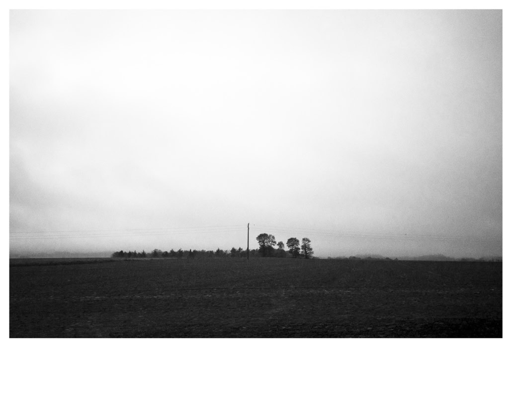 arbre, black and white, bretagne, brittany, bw, champ, field, fil électrique, monochrom, monochrome, noir et blanc, pole, poteau, tree, wire