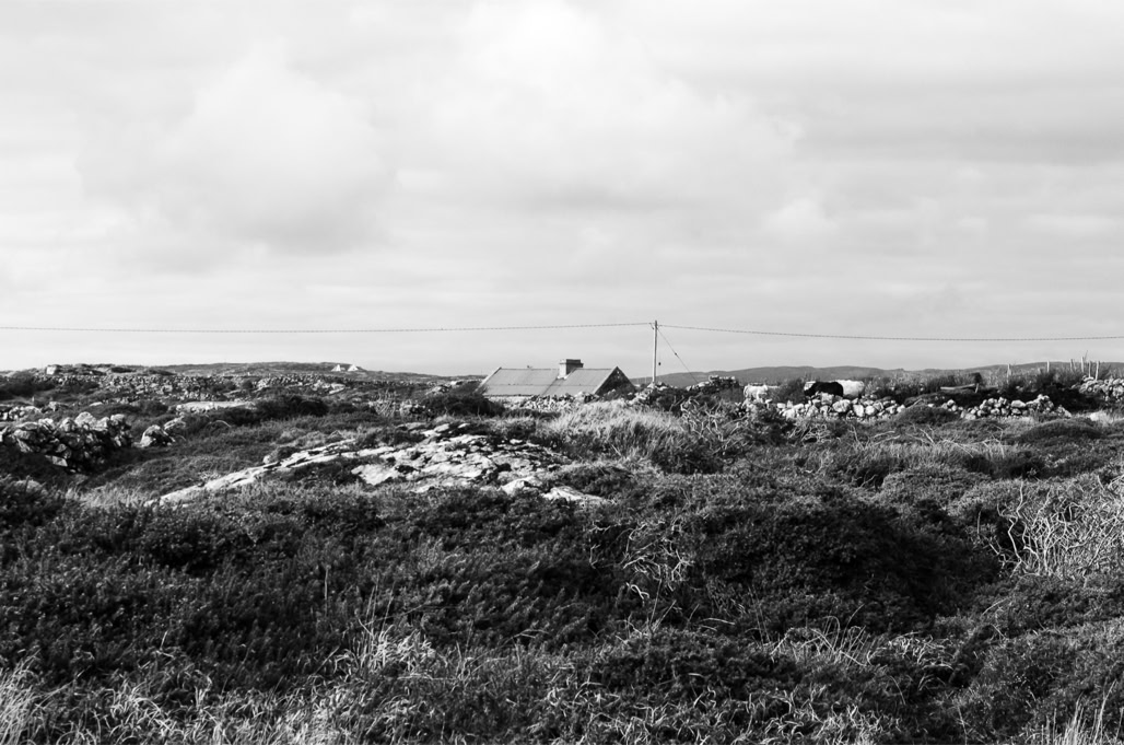 Ireland, Irlande, black and white, bw, connemara, house, lande, maison, monochrom, monochrome, moor, noir et blanc, paysage landscape