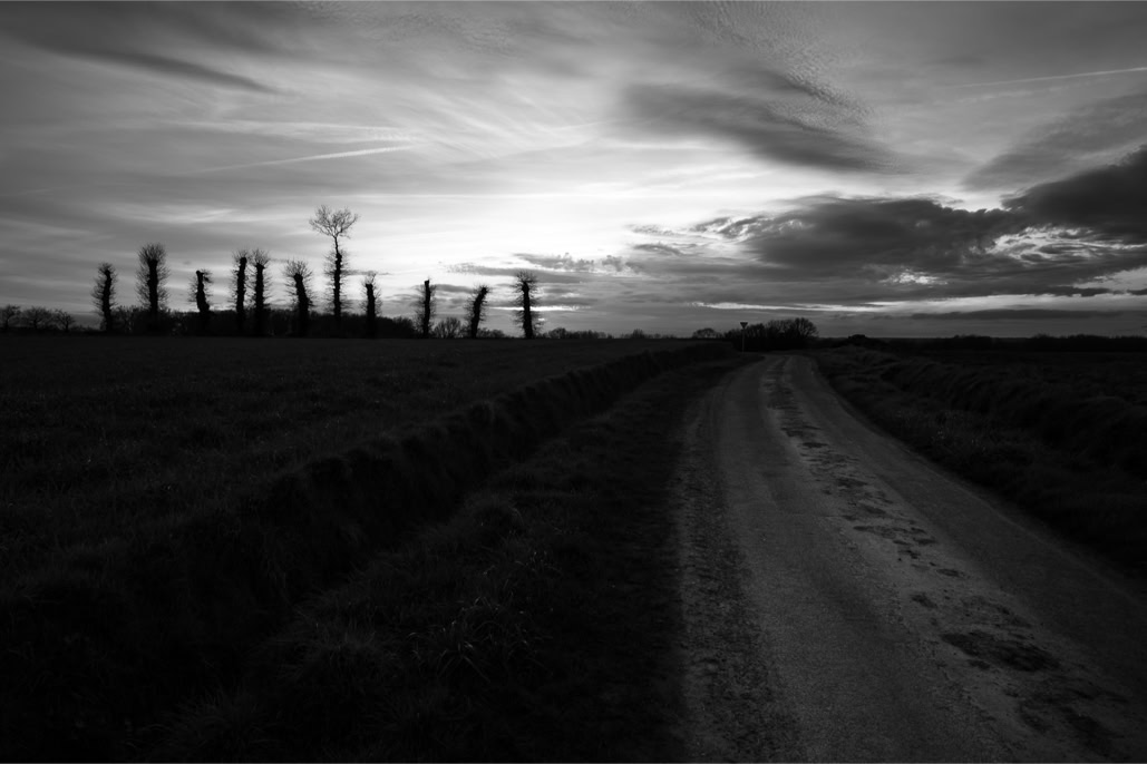 arbre, black and white, bretagne, brittany, bw, champ, crépuscule, diaoul, field, monochrom, monochrome, noir et blanc, road, route, tree, twilight