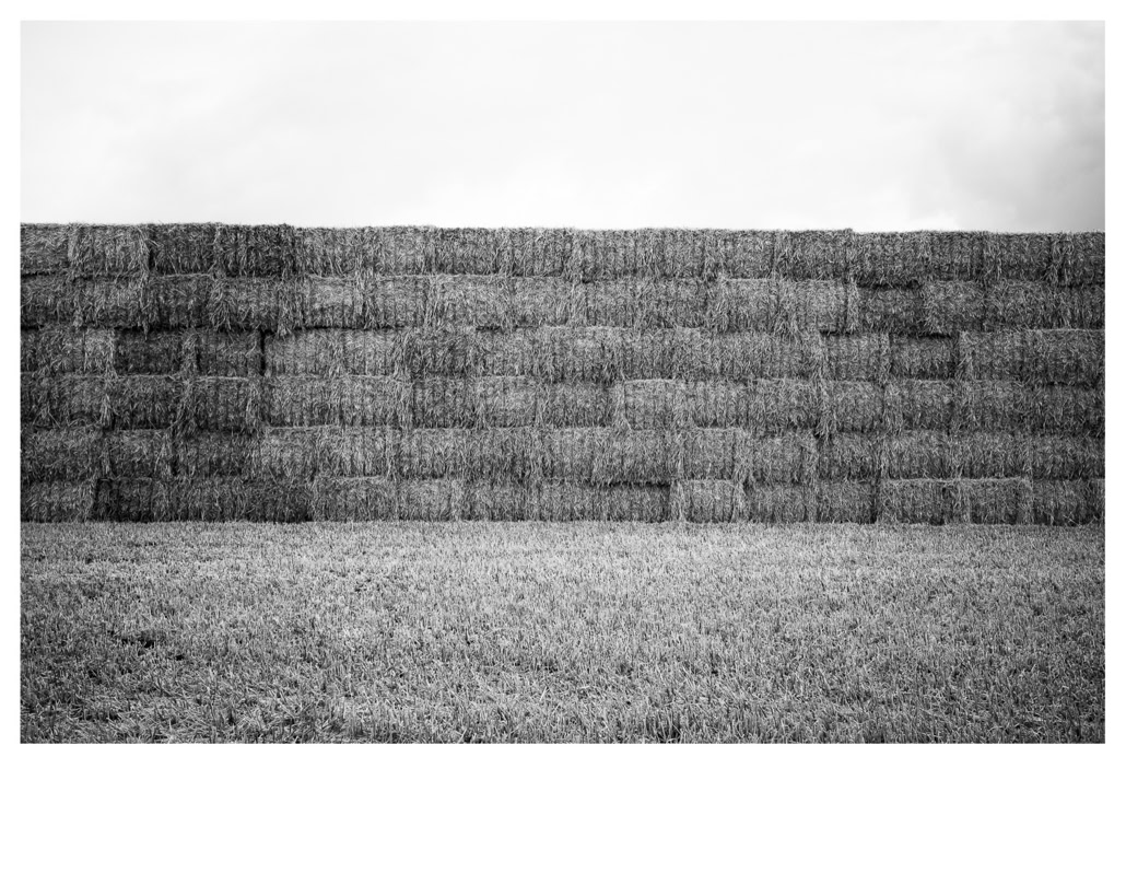 black and white, bretagne, brittany, bw, champ, field, foin, hay, monochrom, monochrome, noir et blanc