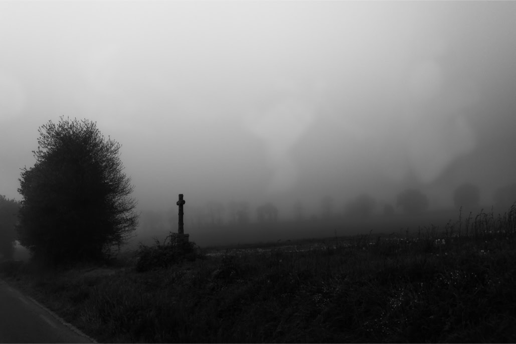 arbre, black and white, bretagne, brittany, brume, bw, champ, croix, cross, diaoul, field, mist, monochrom, monochrome, noir et blanc, tree