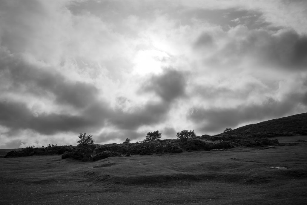 UK, arbre, black and white, bw, cloud, dartmoor, devon, england, lande, monochrom, monochrome, moor, noir et blanc, nuage, tree, united kingdom