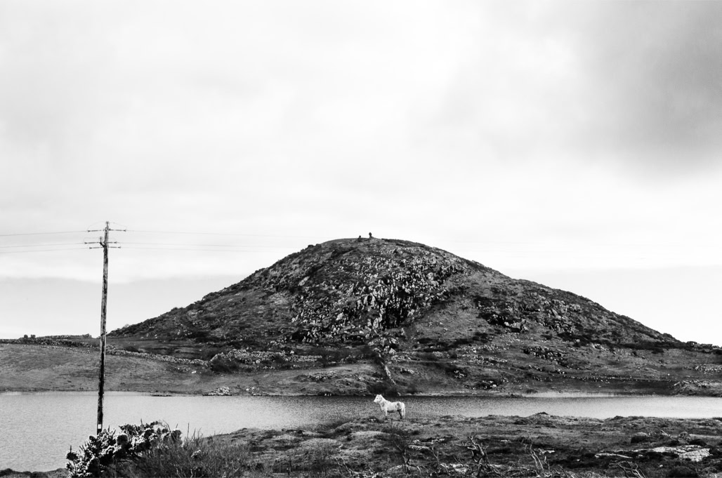 Ireland, Irlande, black and white, bw, cheval, connemara, horse, lac, lake, monochrom, monochrome, noir et blanc, paysage landscape, post, poteau