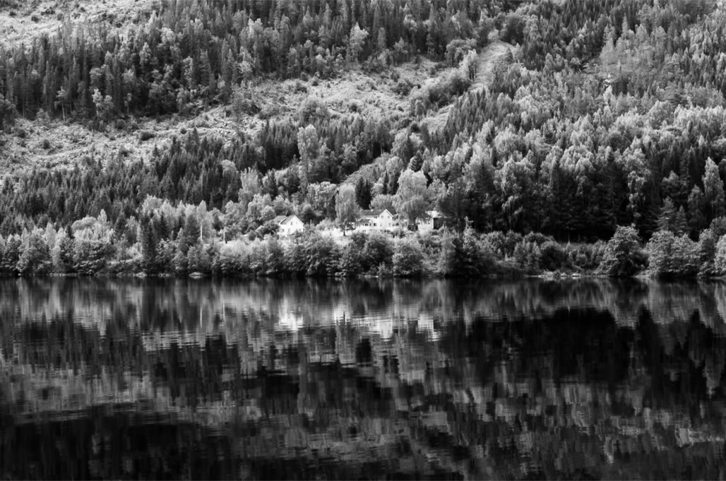 black and white, bw, forest, forêt, lac, lake, monochrom, monochrome, noir et blanc, norvège, norway