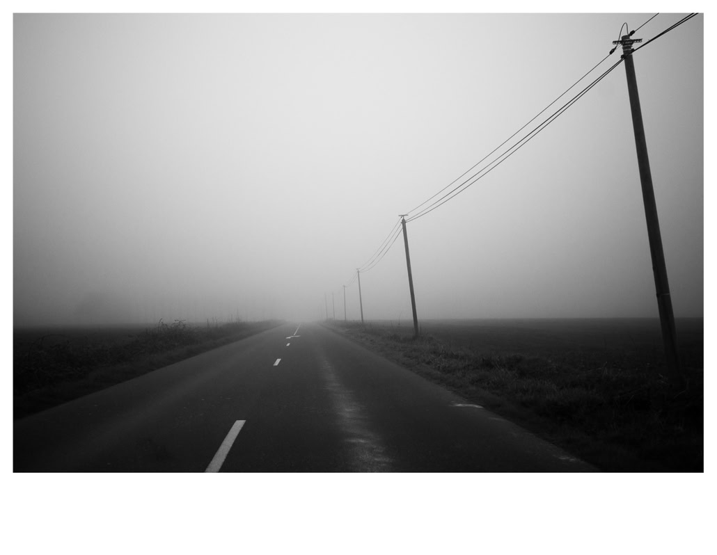 black and white, bretagne, brittany, bw, champ, field, fil électrique, monochrom, monochrome, noir et blanc, pole, poteau, road, route, wire