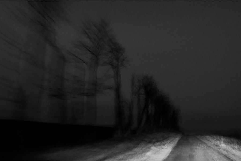 arbre, black and white, bretagne, brittany, bw, diaoul, monochrom, monochrome, noir et blanc, road, route, tree