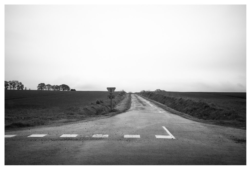 arbre, black and white, bretagne, brittany, bw, carrefour, crossroads, monochrom, monochrome, noir et blanc, road, route, tree