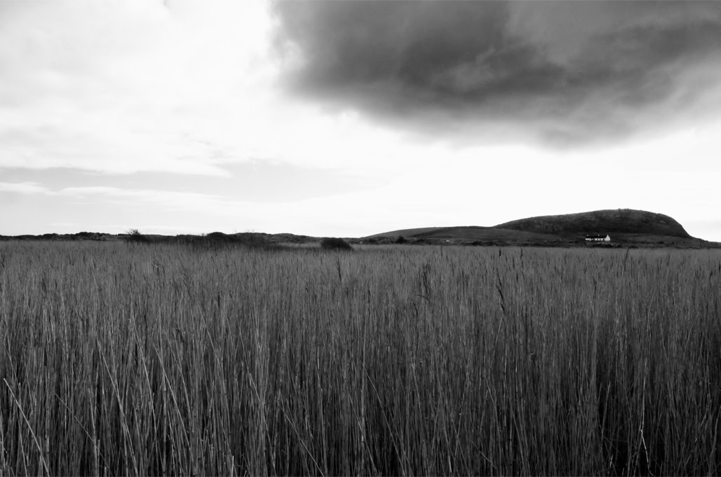Ireland, Irlande, connemara, noir et blanc, black and white, monochrom, monochrome, bw, xchamp, field, colline, hill, Doon Hill