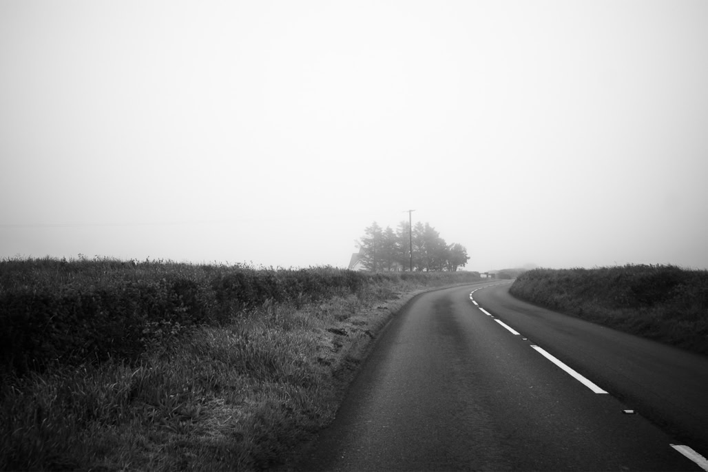 UK, arbre, black and white, bw, cornouailles, cornwall, england, monochrom, monochrome, noir et blanc, pole, poteau, road, route, tree, united kingdom