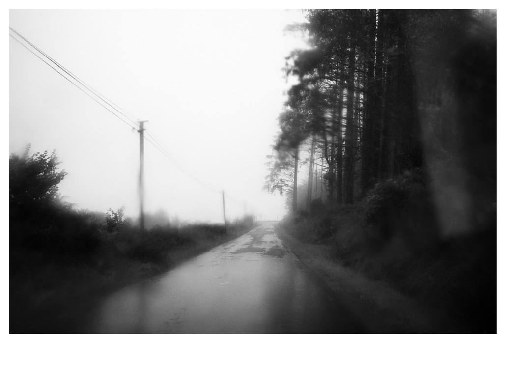 arbre, black and white, bretagne, brittany, bw, fil électrique, monochrom, monochrome, monts d'arrée, noir et blanc, pole, poteau, road, route, tree, wire