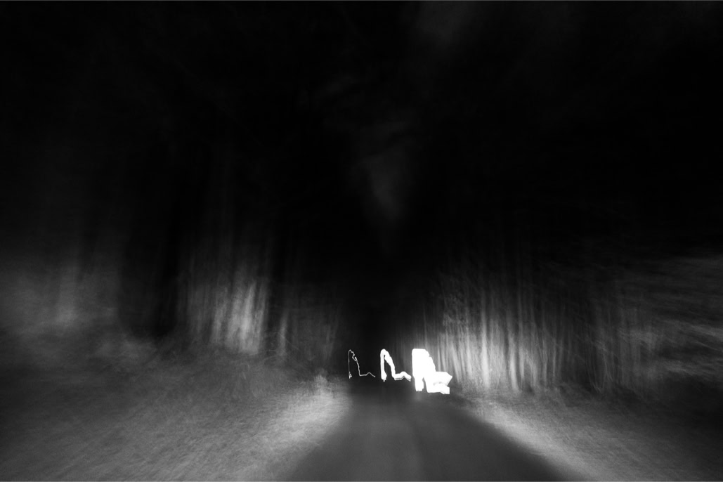 black and white, blurry, bois, bretagne, brittany, bw, diaoul, flou, light, lulière, monochrom, monochrome, noir et blanc, wood