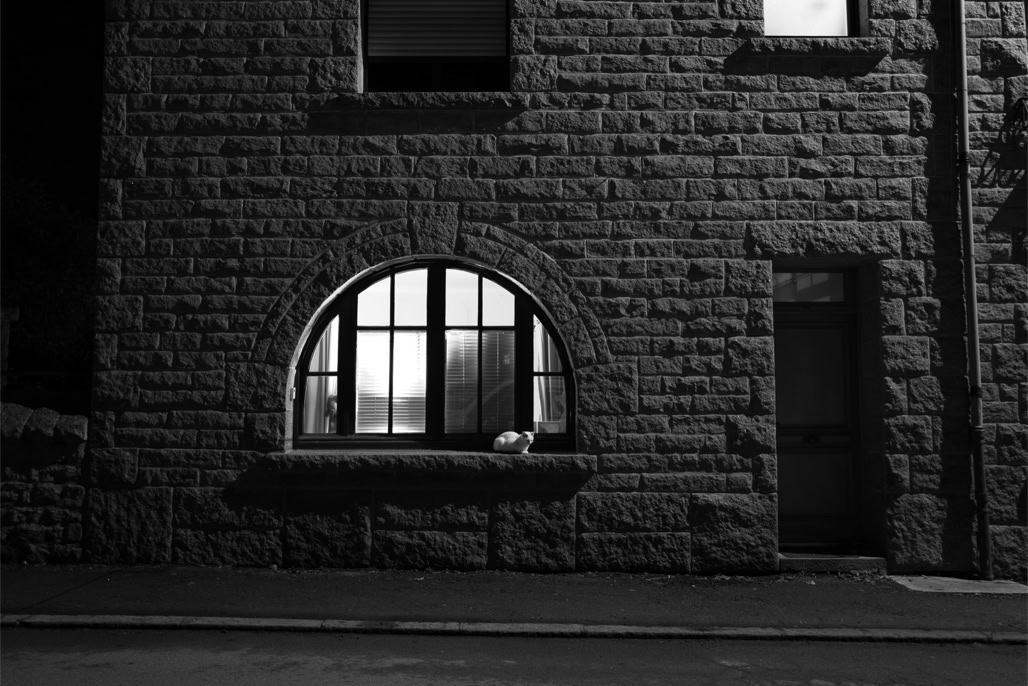 black and white, bretagne, brittany, bw, cat, chat, fenêtre, house, light, lumière, maison, monochrom, monochrome, night, noir et blanc, nuit, window