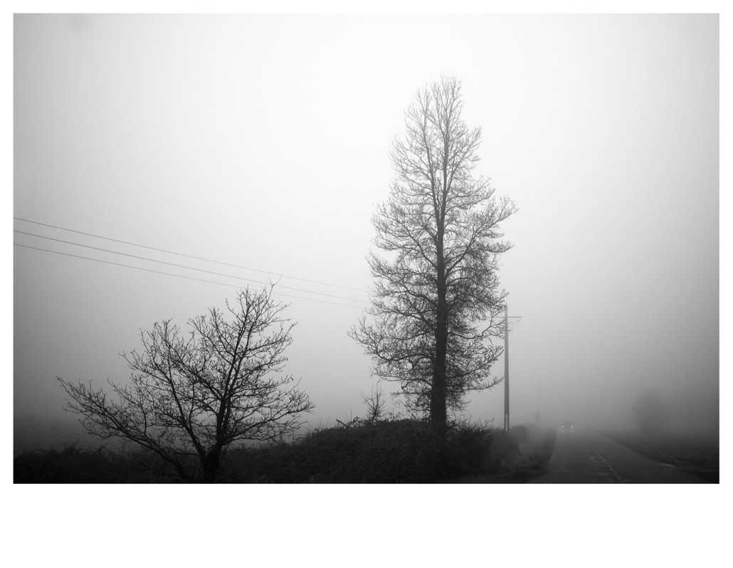 arbre, black and white, bretagne, brittany, brouillard, bw, car, fil électrique, fog, monochrom, monochrome, noir et blanc, pole, poteau, road, route, tree, voiture, wire