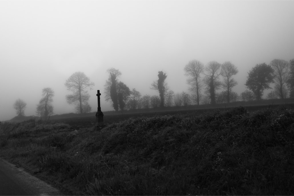 arbre, black and white, bretagne, brittany, brume, bw, champ, croix, cross, diaoul, field, mist, monochrom, monochrome, noir et blanc, tree