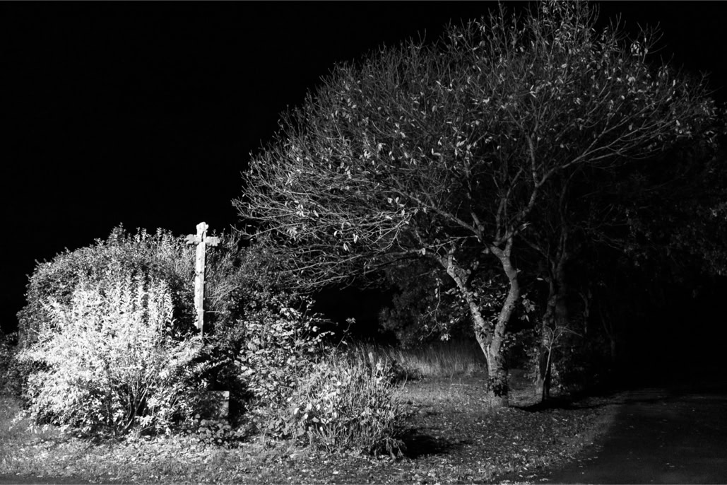 arbre, black and white, bretagne, brittany, bw, croix, cross, diaoul, monochrom, monochrome, noir et blanc, tree