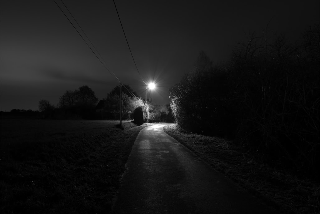 arbre, black and white, bretagne, brittany, bw, light, lumière, monochrom, monochrome, night, noir et blanc, nuit, road, route, tree