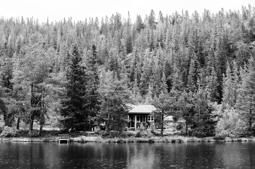 black and white, bw, forest, forêt, lac, lake, monochrom, monochrome, noir et blanc, norvège, norway