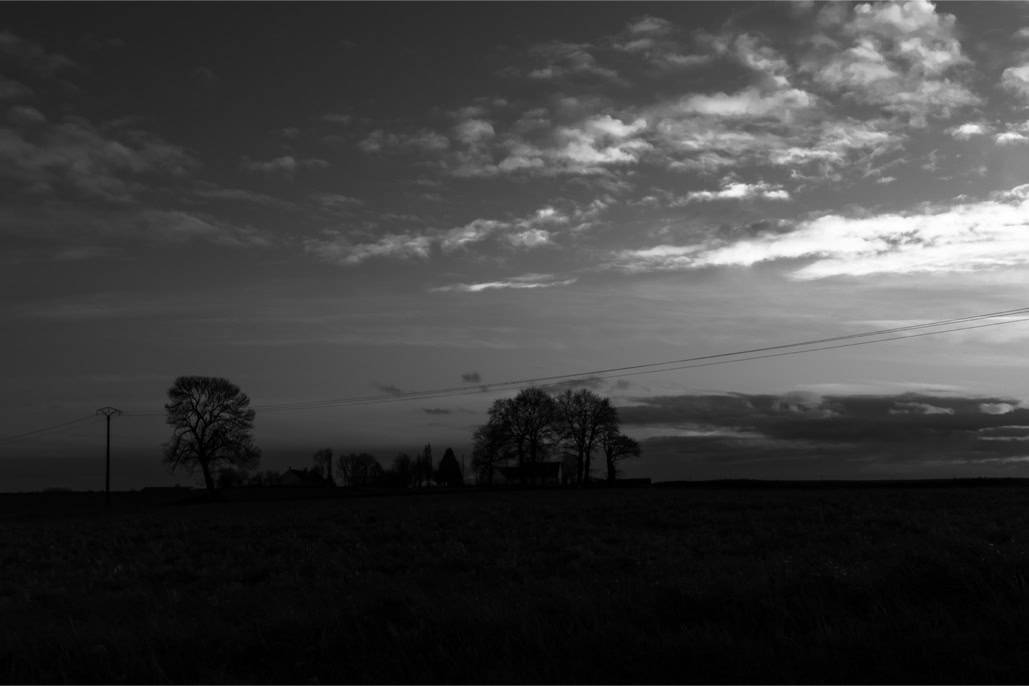 arbre, black and white, bretagne, brittany, bw, champ, crépuscule, diaoul, farm, ferme, field, monochrom, monochrome, noir et blanc, pole, poteau, tree, twilight