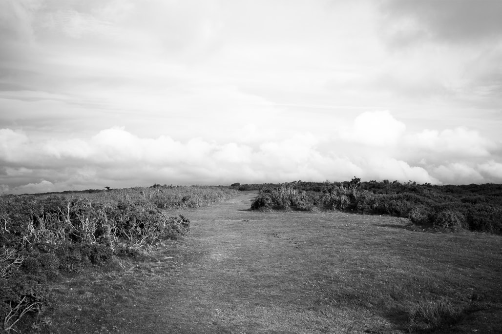 UK, black and white, bw, chemin, dartmoor, devon, england, lande, monochrom, monochrome, moor, noir et blanc, path, united kingdom