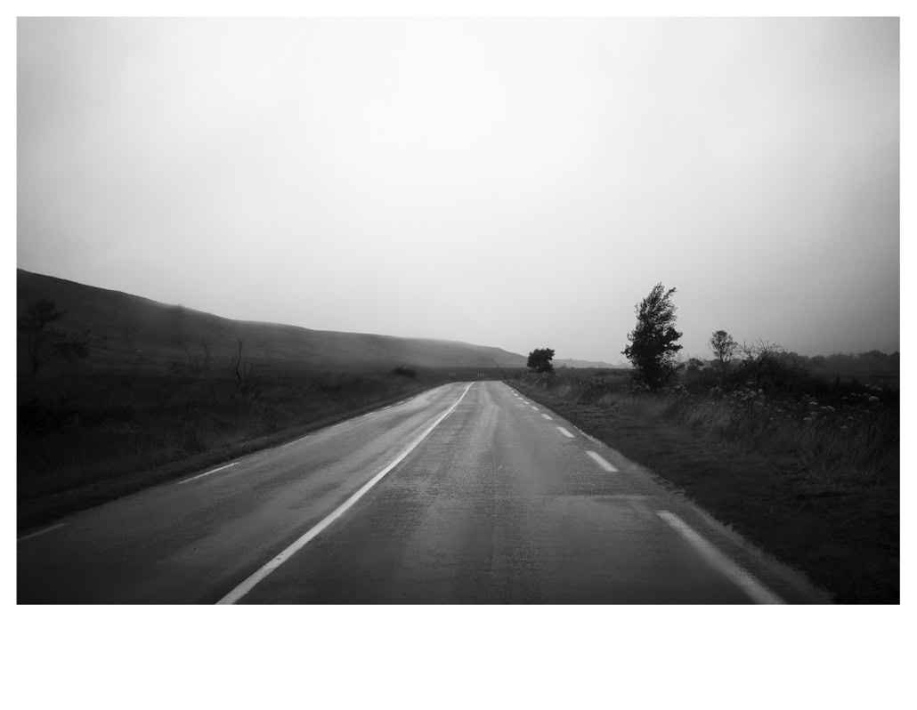 arbre, black and white, bretagne, brittany, bw, lande, monochrom, monochrome, monts d'arrée, moor, noir et blanc, road, route, tree