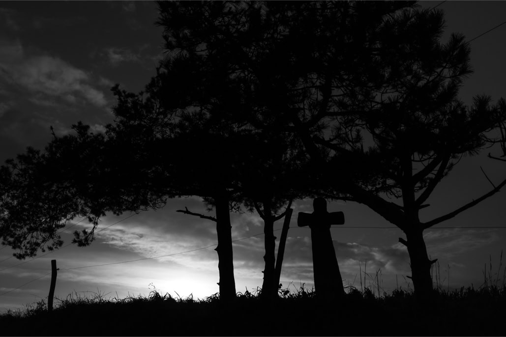 arbre, barrière, black and white, bretagne, brittany, bw, croix, cross, diaoul, fence, monochrom, monochrome, noir et blanc, tree
