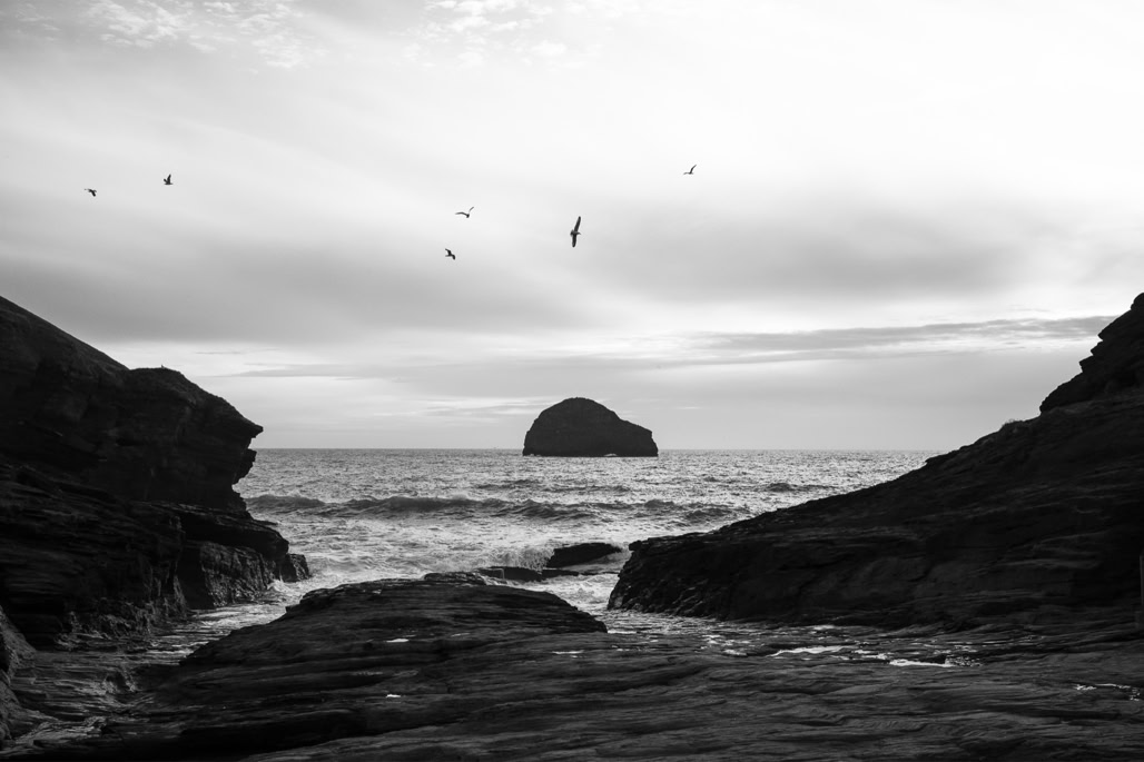 UK, black and white, bw, cornouailles, cornwall, england, monochrom, monochrome, noir et blanc, united kingdom