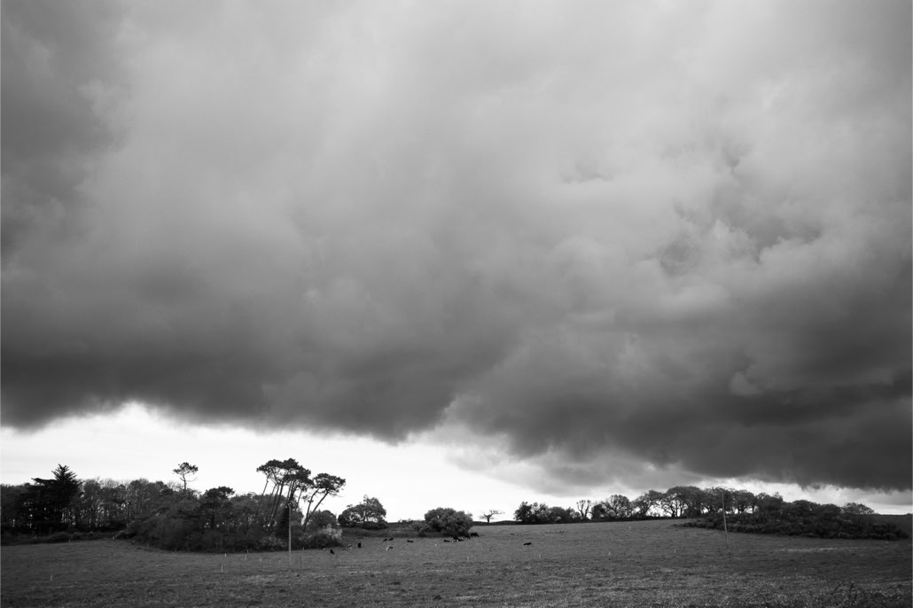 arbre, black and white, bretagne, brittany, bw, champ, cloud, field, monochrom, monochrome, noir et blanc, nuage, tree
