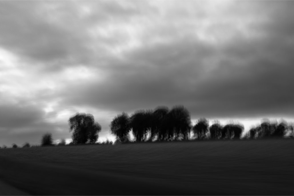 arbre, black and white, blurry, bretagne, brittany, bw, champ, diaoul, field, flou, monochrom, monochrome, noir et blanc, tree