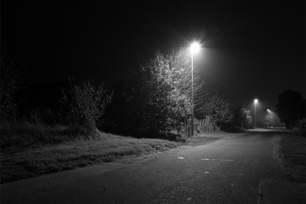 arbre, black and white, bretagne, brittany, bw, light, lumière, monochrom, monochrome, night, noir et blanc, nuit, oretail photography, rue, street, tree