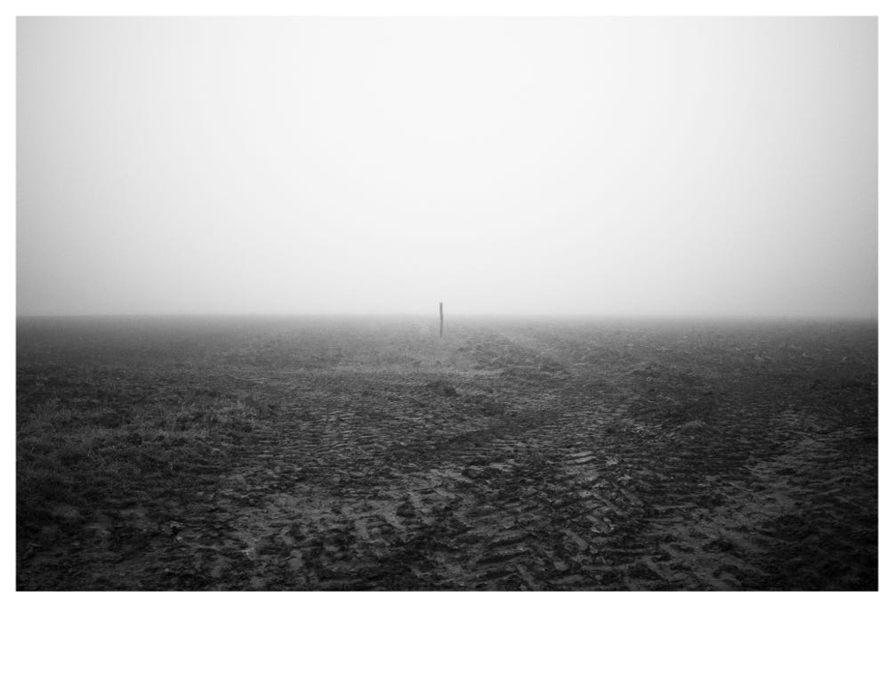 paysage, oretail photography,  olivier retail, noir et blanc, black and white, landscape, monochrom, monochrome, bw, champ, field, piquet, post