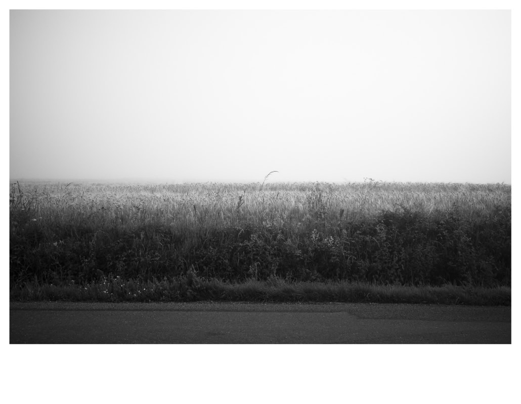 black and white, bretagne, brittany, bw, champ, field, monochrom, monochrome, noir et blanc, road, route