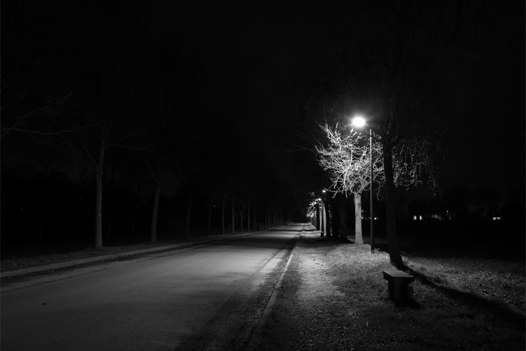 arbre, black and white, bretagne, brittany, bw, light, lumière, monochrom, monochrome, night, noir et blanc, nuit, rue, street, tree