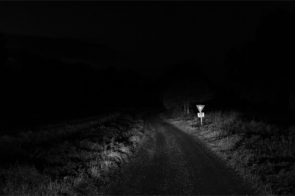 arbre, black and white, bretagne, brittany, bw, chemin, diaoul, monochrom, monochrome, noir et blanc, panneau, road sign, track, tree
