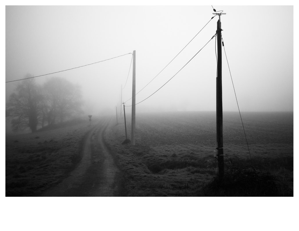 arbre, black and white, bretagne, brittany, bw, champ, field, fil électrique, monochrom, monochrome, noir et blanc, pole, poteau, road, route, tree, wire