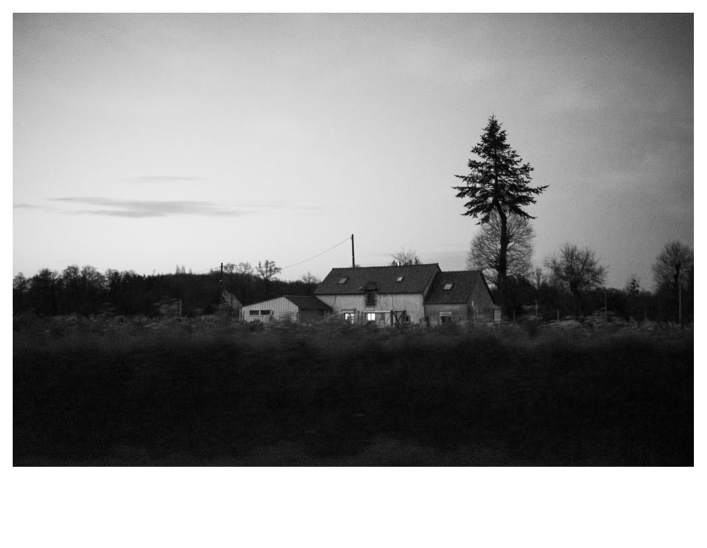 arbre, black and white, bretagne, brittany, bw, champ, farm, ferme, field, monochrom, monochrome, noir et blanc, tree