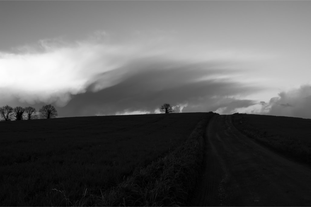black and white, bretagne, brittany, bw, monochrom, monochrome, noir et blanc, arbre, tree, colline, hill, route, road, nuage, cloud, diaoul