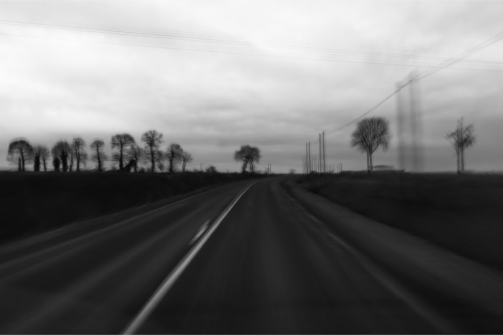 arbre, black and white, bretagne, brittany, bw, diaoul, monochrom, monochrome, noir et blanc, road, route, tree