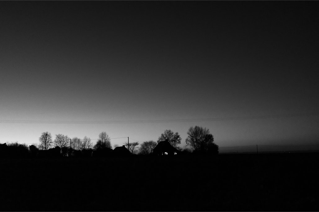 arbre, black and white, bretagne, brittany, bw, crépuscule, farm, ferme, monochrom, monochrome, noir et blanc, tree, twilight